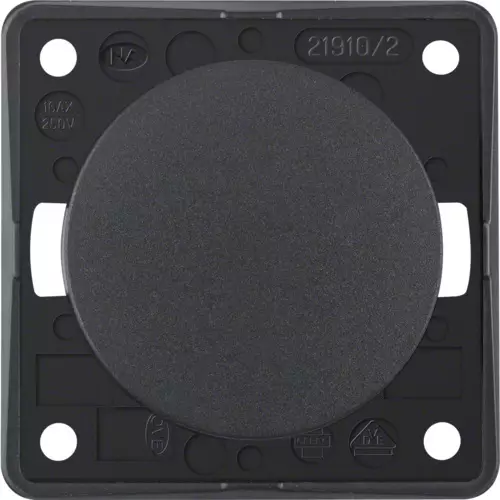 Berker katkaisin upotettava antrasiitti matta 250V, 16AX - Sähkörasiat, pistokkeet - 11130 - 1