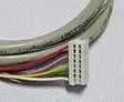 Ohjausjohto 8-napainen 6,5 m - HOBBY VARAOSAT - 25373 - 1
