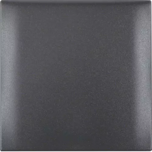 Berker kannellinen kehys antrasiitti matta - Sähkörasiat, pistokkeet - 11143 - 1